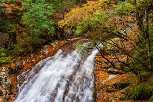 The autumn brook