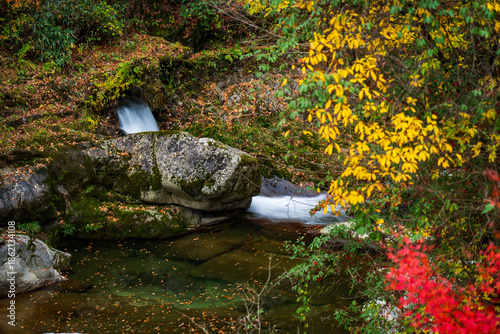 The autumn brook