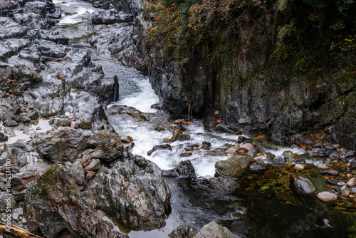 The autumn brook