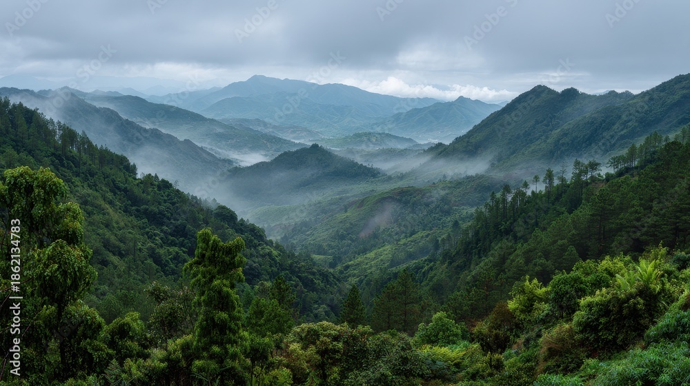 Obraz premium Misty Mountain Range with Lush Green Forests and Rolling Hills Under Cloudy Sky.
