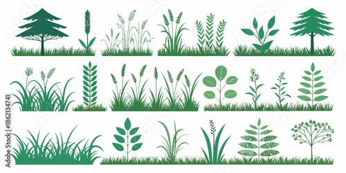 Variety of green plants and trees in silhouette