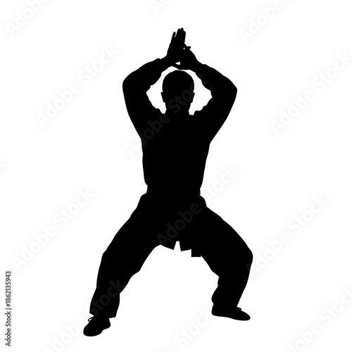 Silhouette of a man practicing martial arts form.