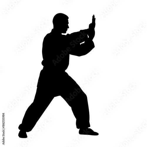Silhouette of a man practicing martial arts in a defensive stance.