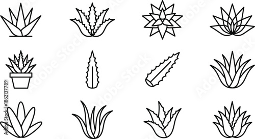 Aloe Vera and Succulent Line Icon Set Featuring Medicinal Cactus Plants Agave Leaves Potted Herbs and Botanical Floral Elements for Design