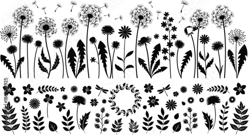 Set of dandelion silhouettes with flying seeds, wild meadow flowers and leaves, black vector floral collection isolated on white background.