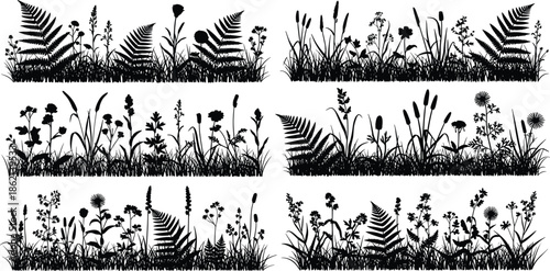 Silhouette set of wild meadow grass, fern and flower borders, nature field elements isolated on white - cad drawing flat vector illustration