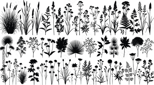 Big collection of wild meadow flowers, grass, herbs and tropical palm leaf silhouettes, vector botanical set isolated on white background - cad drawing flat vector illustration