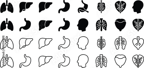 Silhouette and Outline Icons of Human Organs and Head Profiles Keywords: lung, lungs, liver