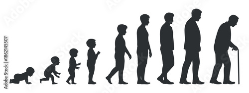 A visual depiction of the human life cycle from infancy to old age shown in silhouette