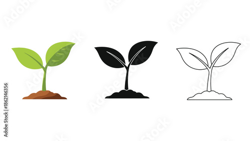 Three stages of a growing plant illustrated with different styles and colors