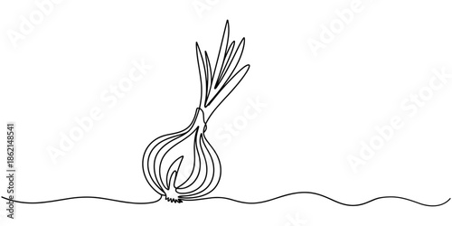 Two bulbs of onions. Harvest. Continuous line drawing. Vector illustration, Continuous one line drawing of onion, freshness organic bulb onion for harvesting logo identity. Fresh common onion.