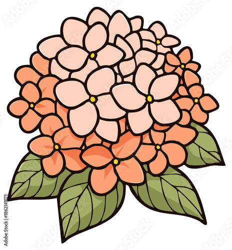 Beautiful pink hydrangea flower bouquet cartoon illustration with green leaves