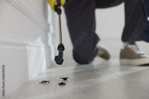Foto Pest control worker spraying insecticide indoors, closeup