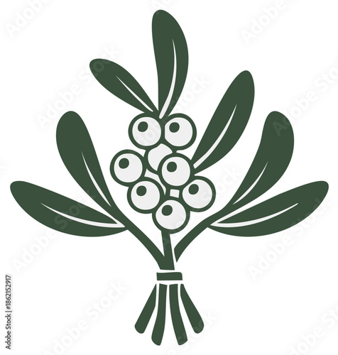 Stylized green mistletoe branch with white berries and dark leaves