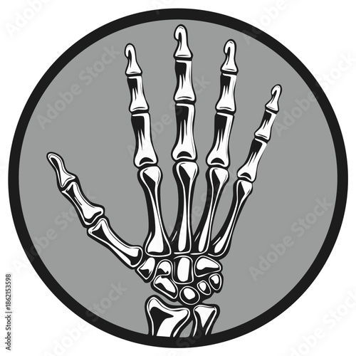 Hand bones illustration in black and white, skeletal anatomy of human hand