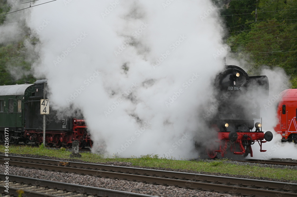Naklejka premium Dampflokomotive