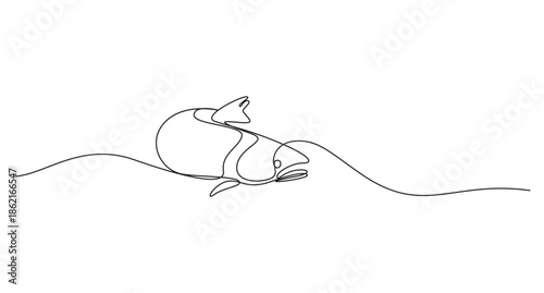 Salmon fish in one continuous line art drawing style vector illustration,A simple line drawing of a fish swimming in water,Continuous Line Drawing of a Swimming Fish