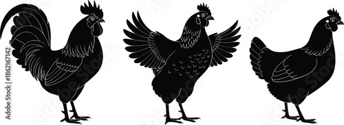 Black vector silhouette icon set of farm poultry featuring a rooster and various hens on white background.