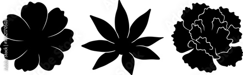 Blank vector file display isolated on white background

