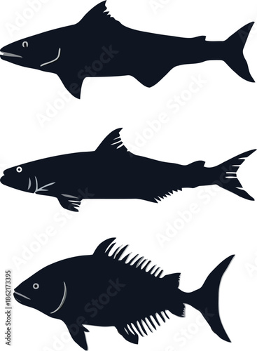 Aquatic silhouettes: Captivating aquatic silhouettes showcasing the diverse forms of marine life, each a testament to the mysteries of the deep.