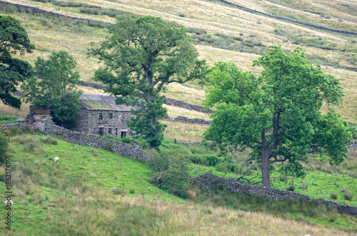 View on a barn in the Yorkshire Dales