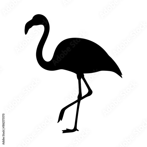 Elegant black flamingo silhouette vector illustration walking on one leg with a graceful pose