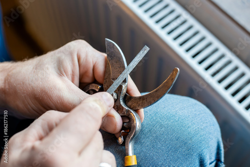 Tableau sur toile A man sharpens the blade of an old garden pruner with a metal file, preparing th