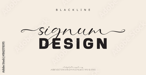 Elegant alphabet letters serif font and number. Classic Lettering Minimal Fashion. Typography fonts regular uppercase, lowercase and numbers. vector illustration