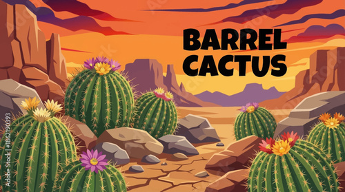 barrel cactus grows among rocky desert ground, showcasing water storage adaptation, harsh climate survival, and distinctive desert plant morphology