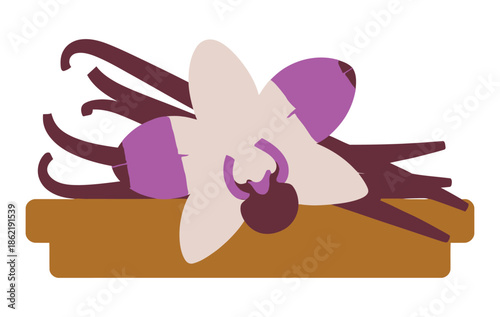 Vanilla orchid flower rests on dark brown pods with a platform.