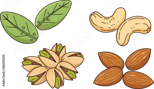 Cashew almond pistachio nut vector with green leaves, cartoon style, healthy food, snack ingredients, dietary illustration
