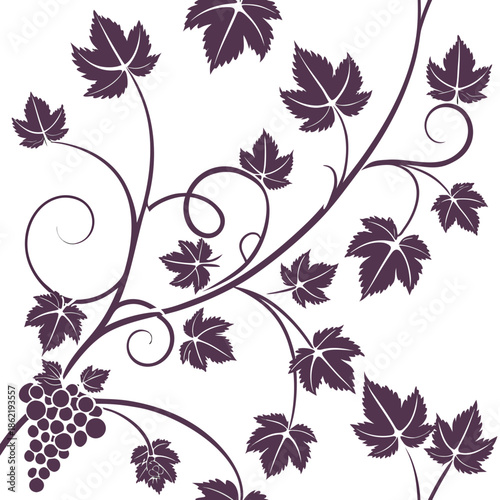 Vine with grapes and leaves