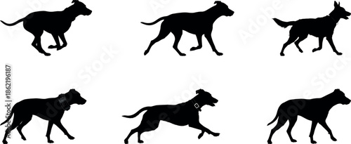 Sequence of six black horse silhouettes in motion on white background