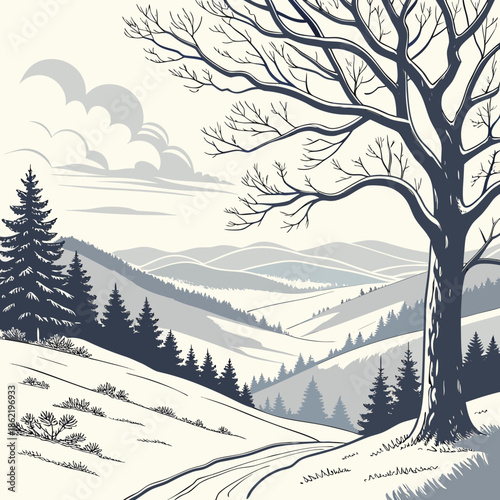 Snow covered valley with bare tree and evergreens on hillside