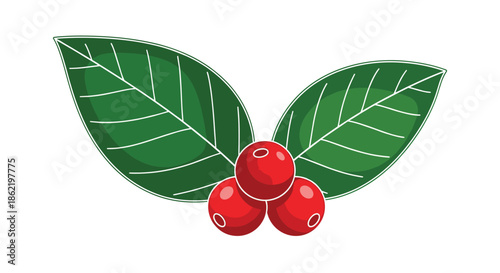 Close up illustration of ripe red coffee berries and green leaves for agricultural, botanical, and organic drink designs.