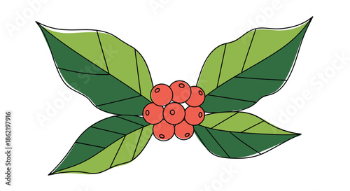 Illustration of fresh coffee berries in a cluster with green leaves showcasing the organic plant before the roasting process begins.