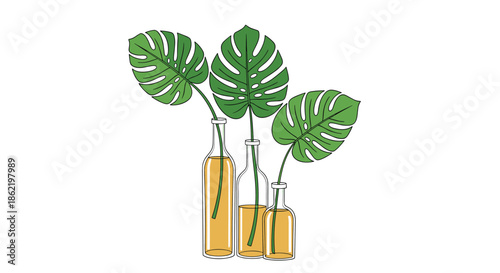 Artistic illustration of green monstera leaves placed inside three different glass bottles containing an orange liquid on a white background.