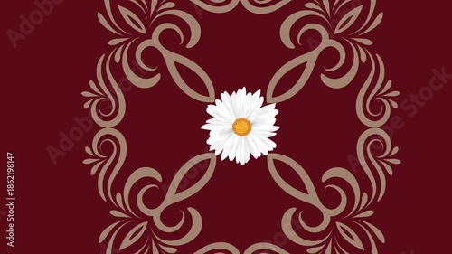 draw set of five white flower enclose by golden frame in square shape on maroon screen background
