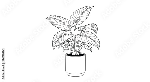 Detailed line art drawing of a lush potted indoor plant with large leaves for minimalist home decoration and gardening.