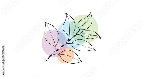 Artistic line drawing of a leafy branch with colorful translucent circles in the background for creative graphic design.