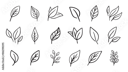 Hand drawn leaf eco set. Black line doodle leaf icons