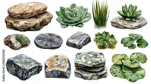 Realistic Illustrations of Diverse Stones and Succulents for Design Use