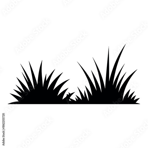 Silhouetted blades of wild grass grow together on the.