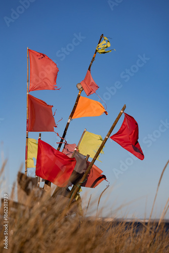 Bunte Strandflaggen an Holzstangen im Dünengras am Timmendorfer Strand an der Ostsee. Die unterschiedlich farbigen Fahnen wehen im Wind vor klarem blauem Himmel und stehen für Küstenlandschaft, Wind, 
