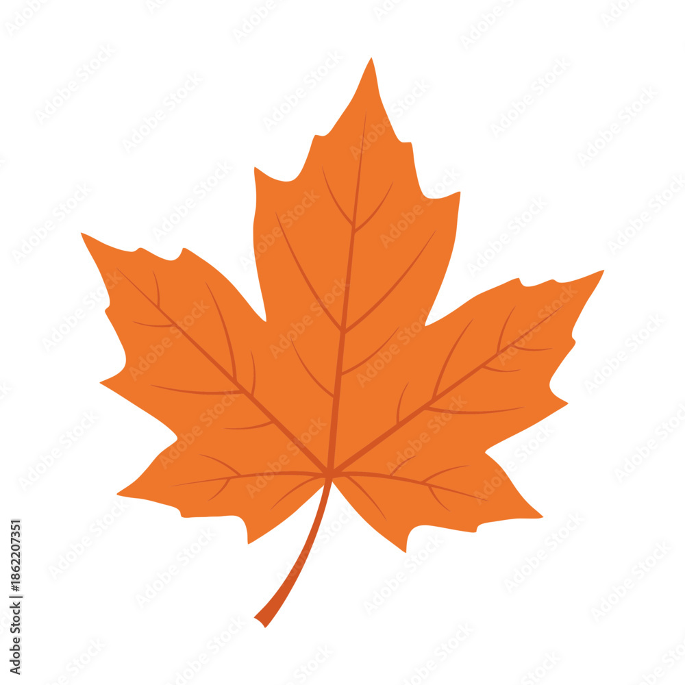 Fototapeta premium Beautiful orange maple leaf design perfect for autumn season decorations