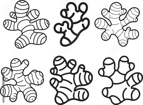 Set of Ginger Root Line Art Vector Illustration for Coloring Book Page