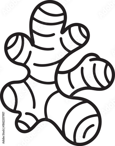 Ginger Root Line Art Vector Illustration for Coloring Book Page