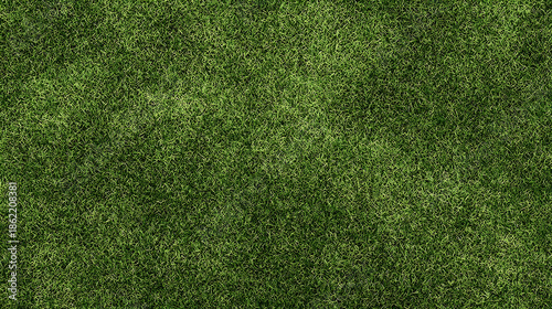 Textured Green Grass Field with Subtle Shadows lawn
