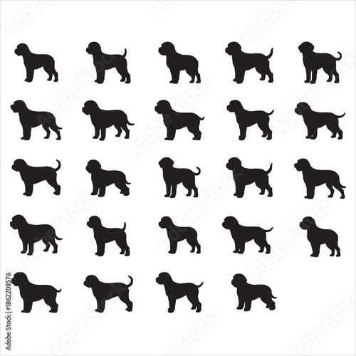 Lagotto Romagnolo svg Bundle