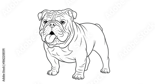 Detailed black and white line art drawing of a standing bulldog with its tongue out for animal coloring book activity.